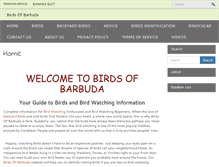 Tablet Screenshot of birdsofbarbuda.com